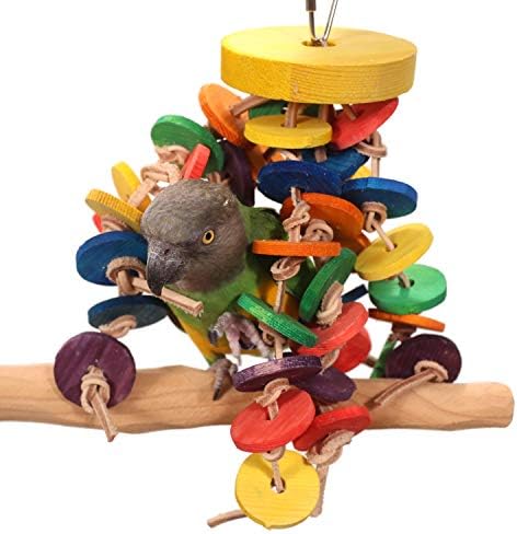 Tropski krugovi - igračka od malog/srednjeg papiga