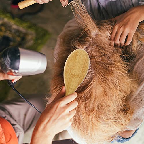 Drveni češalj za pse-profesionalna četka za pse i mačke s okruglim iglama od nehrđajućeg čelika promjera 20 mm s ručkom od bambusa,