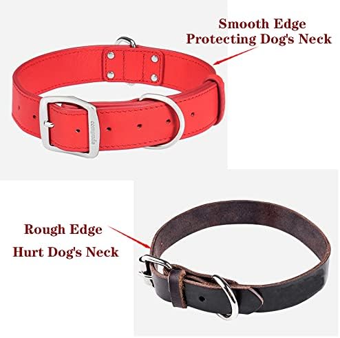 Compuda kožna ovratnik za pse za srednje pse, mekana podstavljena dvostruka kopča puna originalna kožna ovratnik