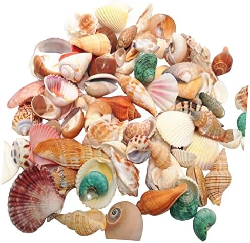 Ukrasi za akvarij po mjeri perle od školjki ukrasi za akvarij šarm za ukrašavanje miješane školjke za plažu obrt od prirodnih školjki
