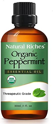 Prirodno bogatstvo organsko ulje ulja za ulje za aromaterapiju s difuzorskim terapijskim stupnjem - hladni miris Svježe ulje metvice