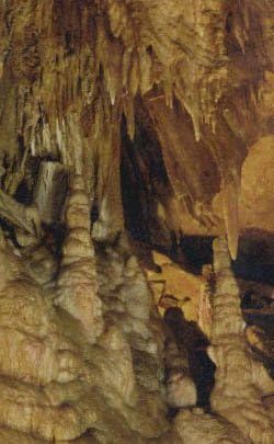 Nacionalni park Mammoth Cave, razglednica u Kentuckyju