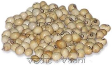Vedic Vaani prirodni oblik rijetke gunja bijele chirmi perle goonja - set od 108 perlica koje se koriste za Lakshmi, Mahakali i Saraswati