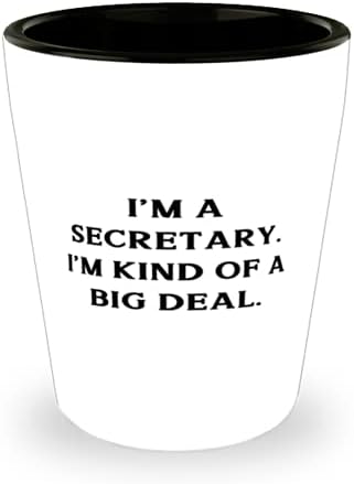 Savršena tajnica je čaša, ja sam tajnica. Ja sam na neki način velika osoba koja nadahnjuje muškarce i žene da diplomiraju