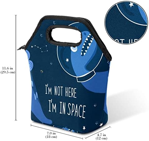 Ženska torba za ručak za muškarce, ženska kutija za ručak, plavi dinosaur sa zvjezdanim svemirskim uzorkom