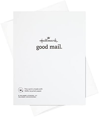 Hallmark dobar paket pošte od 2 kartice ponosa, kartice za ohrabrenje, kartice prijateljstva