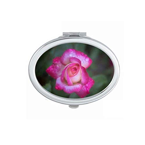 Ružičaste prekrasne cvjetove latice ogledalo prijenosna naklona ručna šminka dvostruke bočne naočale