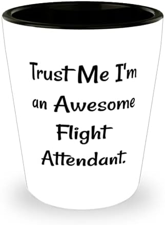Prekrasna stjuardesa, vjerujte mi, ja sam nevjerojatna stjuardesa, savršena maturalna čaša za muškarce i žene