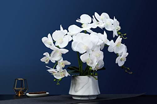 Umjetna orhideja lažno cvijeće Phalaenopsis Orhideja Faux Orhides cvjetovi dekor U zatvorenom bijelom orhideju kuhinjskog stola Uredni