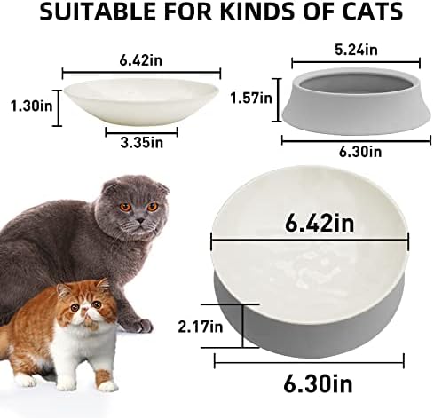 Simmoude povišene mačje zdjele za hranu i vodu, nagnute podignute mačje zdjele za mačke u zatvorenim mačkama, 2 mačje posude za slatke