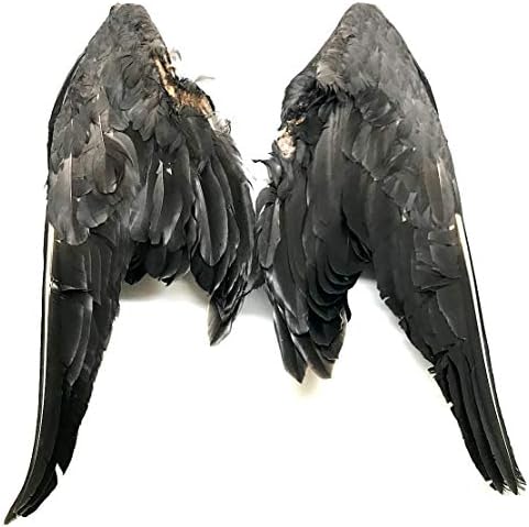 Gotova krila sive guske - za par