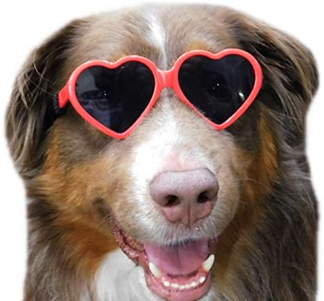 Stil trezor G012 pseće kućne ljubimce Oblik Srčanog kostima Sunčane naočale Srednje pasmine 20 lb-40 lbs